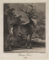 KG 01075
          <br/>
          Entwurf einiger Thiere. Dritter Theil. (18 bladen)
          <br/>
          <em>Ridinger, Johann Elias (1698-1767)</em>